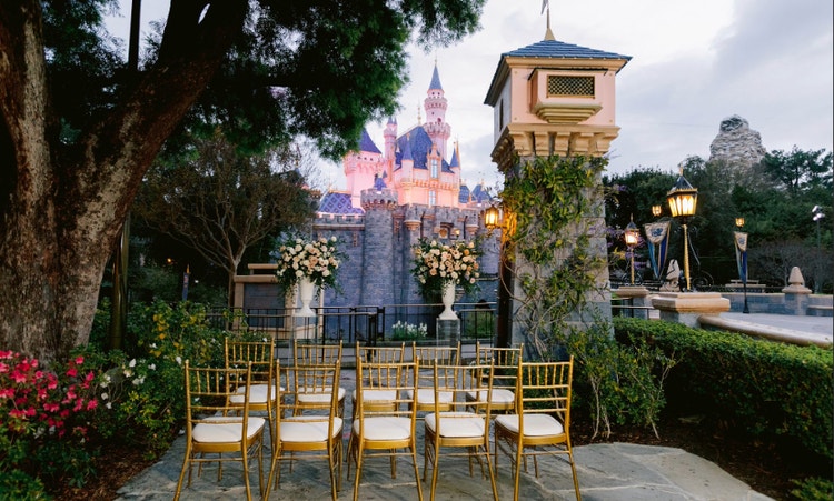 The Fantasy Faire Garden in Disneyland, featuring ornate vases with rose arrangements, a large tree with flowers on the base, 2 sections of chairs and background views of Sleeping Beauty Castle