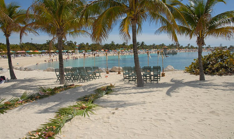 Chairs grouped around palm trees on the beach