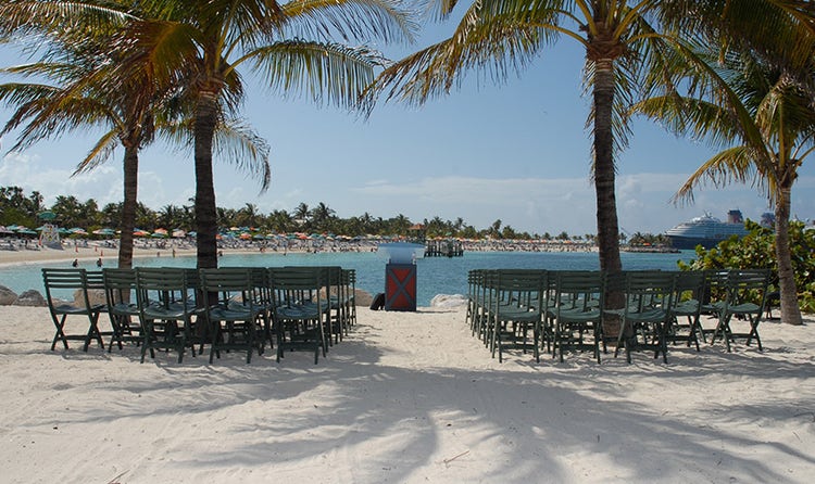 Chairs grouped around palm trees on the beach