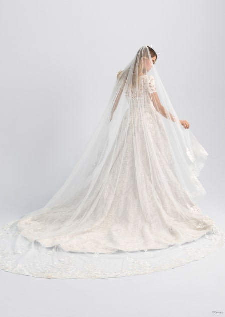 The back of a wedding dress with short sleeves and a long train inspired by Cinderella