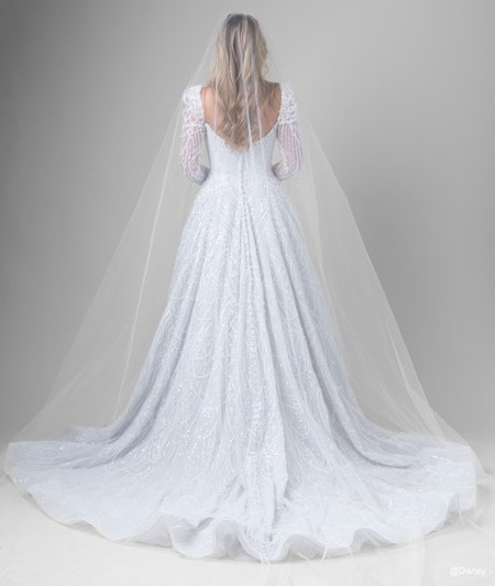 The back of a bride wearing a Cinderella inspired A line gown featuring beading, a train, a veil and long, sheer sleeves