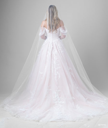 The back of a bride wearing an Aurora inspired A line gown featuring lace detail, a train and a veil