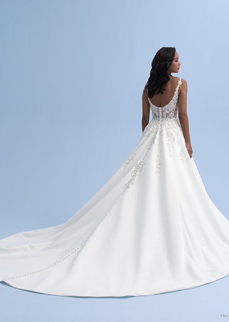 The back view of a woman in a wedding dress with a full train