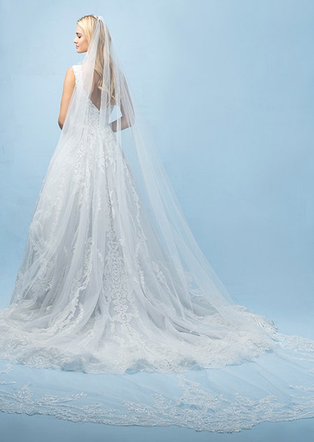 The back of a bride wearing a Cinderella inspired A line gown with lace detail, a train and a long veil