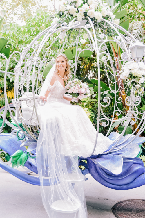 bride, bridal portrait, cinderella's coach, coach, cinderella coach, disneyland, disneyland hotel, rose court, rose court garden