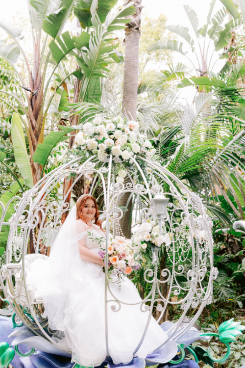 bride, portrait, crystal coach, coach, disneyland, Disneyland Hotel