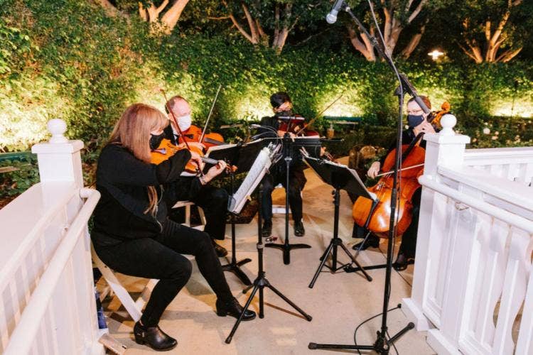 wedding ceremony, ceremony, entertainment, musician, music, quartet, string quartet, rose court, rose court garden, Disneyland Hotel