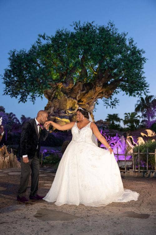 bride and groom, couple, portrait, couple portrait, animal kingdom, disney's animal kingdom, tree of life