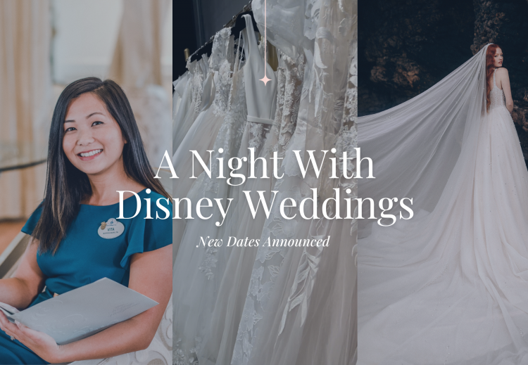 A Night With Disney Weddings