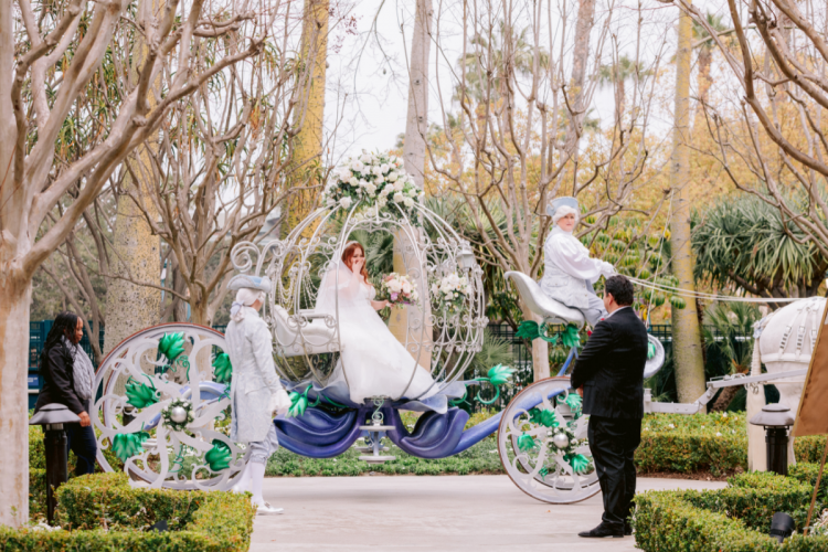 bridal portrait, coach, crystal coach, Disneyland, rose court garden