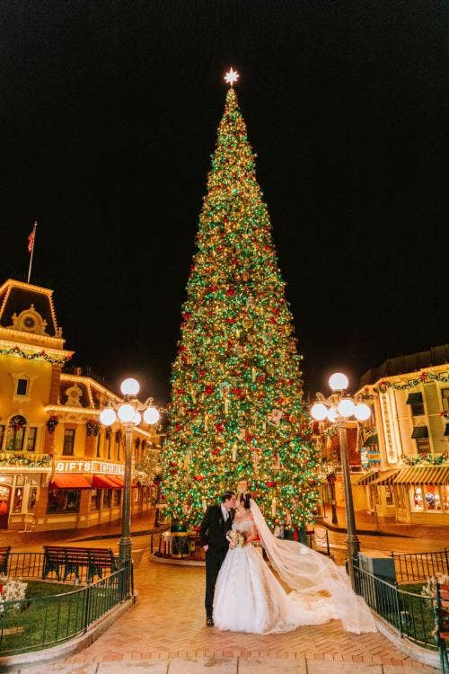 bride and groom, couple, portrait, couple portrait, Disneyland, Disneyland Park, Main Street, christmas, Christmastime, christmas tree