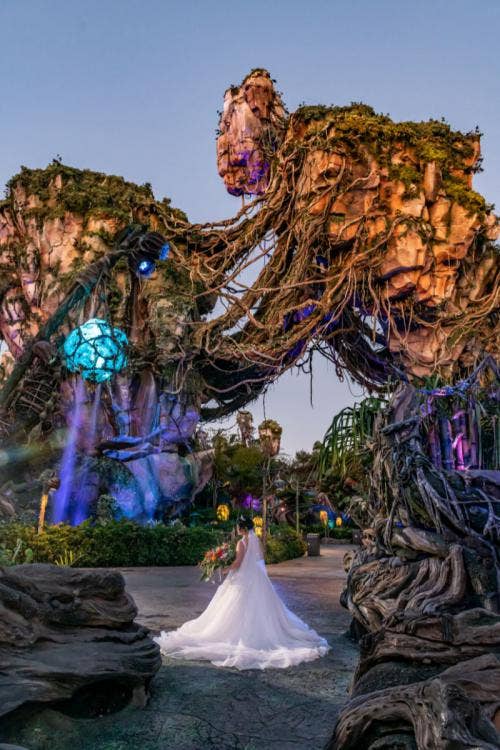 bride, bridal portrait, animal kingdom, Disney's animal kingdom, pandora, pandora world of avatar, avatar, park portrait, park portrait session