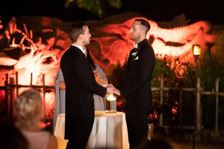 groom groom, lgbtq, lgbtq couple, exchanging vows, vows, wedding ceremony, ceremony, disney's animal kingdom, animal kingdom, tree of life, tree of life ceremony