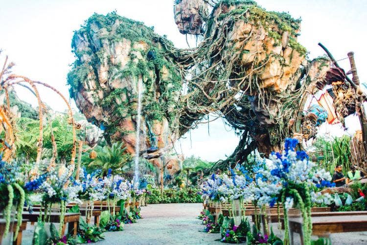 decorated wedding ceremony, wedding ceremony, ceremony, animal kingdom, disney's animal kingdom, animal kingdom, pandora, world of avatar, pandora world of avatar, purple floral, aisle floral