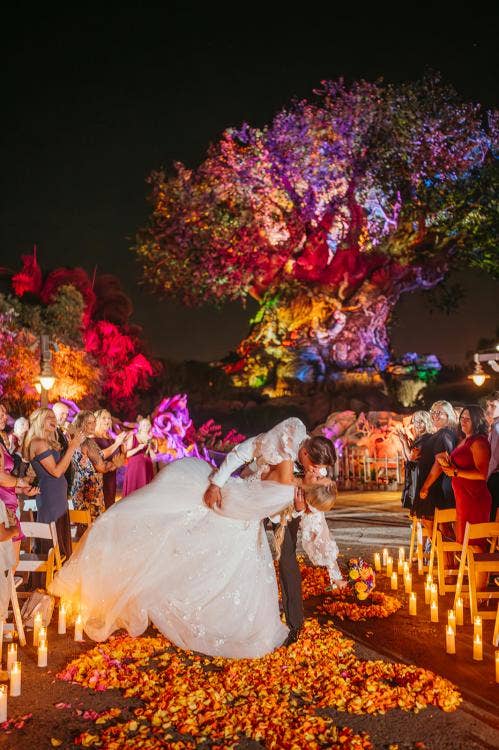 Disney Wedding, Disney's Animal Kingdom, Animal Kingdom Wedding, Colorful Wedding, Disney Wedding Ideas, First Kiss, Just Married