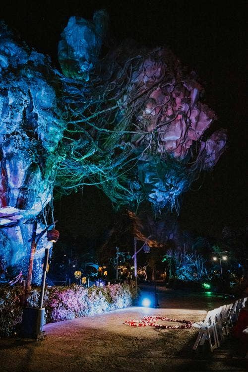 Disney Wedding, Pandora Wedding, Animal Kingdom Wedding, Disney Wedding Ceremony, Walt Disney World Wedding, Walt Disney World