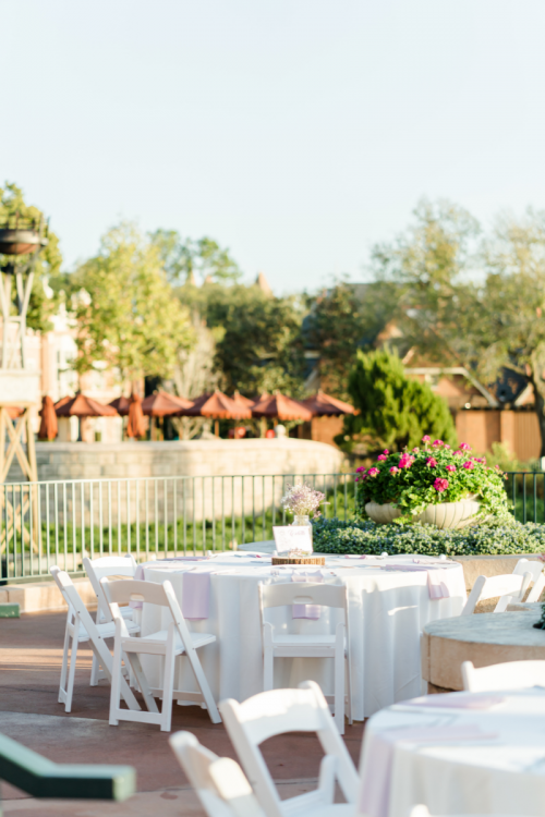 venue shot, reception venue, reception, wedding reception, terrace des fluers, France Pavilion, france