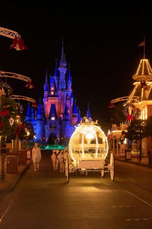 Disney Wedding, Cinderella Coach, Magic Kingdom Wedding, Fairy Tale Wedding