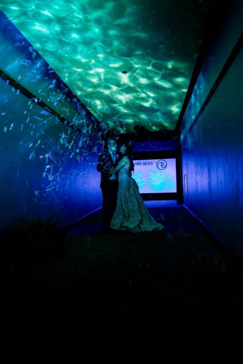 bride and groom, couple, portrait, couple portrait, wedding reception, reception, living seas, living seas salon, living seas reception, epcot, uplighting, custom uplighting