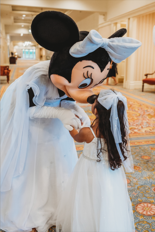 flower girl, disney wedding, minnie mouse