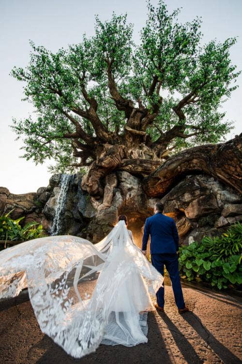 bride and groom, couple, portrait, couple portrait, DAK, animal Kingdom, tree of life, park portrait, park portrait session
