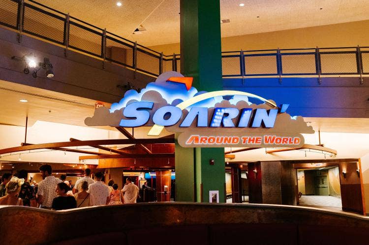 Disney Wedding, Epcot Wedding, Attraction Mix-in, Ride Mix-In, Soarin, Epcot