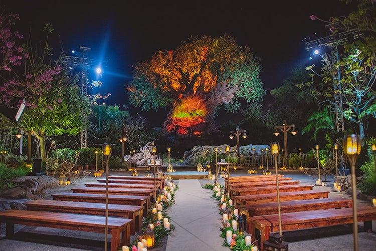 A wedding ceremony at the Tree of Life