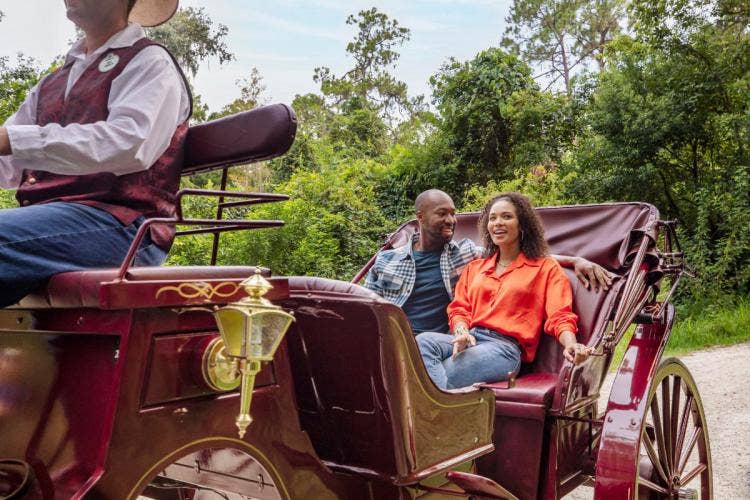 couple, carriage, carriage ride, horse-drawn carriage ride, Disney world, enchanting extras, port Orleans, port Orleans resort