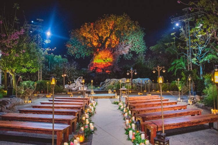 decorated wedding ceremony, wedding ceremony, ceremony, disney's animal kingdom, animal kingdom, tree of life, tree of life ceremony, altar floral, altar decor, custom chairs, pews