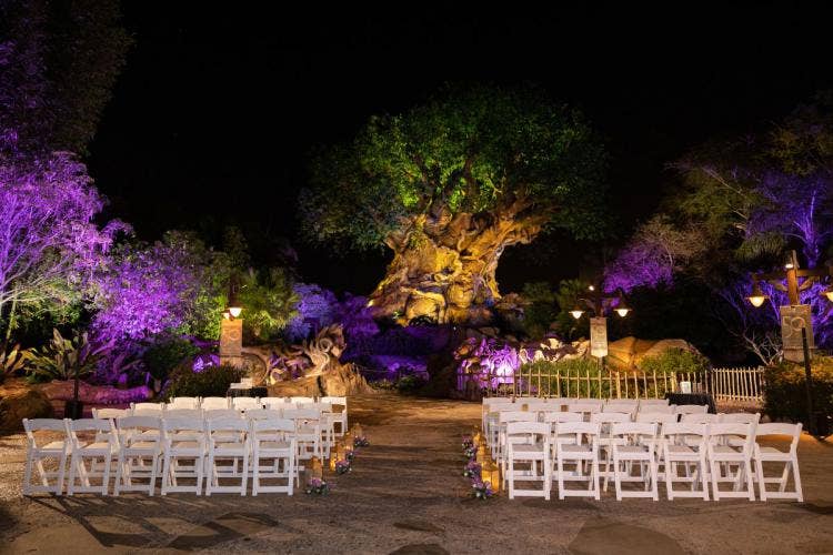 wedding ceremony, ceremony, ceremony decor, ceremony floral, nighttime, animal kingdom, disney's animal kingdom, tree of life, custom up lighting, up lighting, purple up lighting, candles, aisle candles