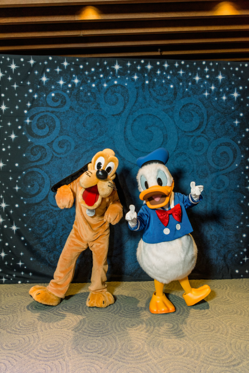 wedding reception, reception, characters, disney characters, meet and greet, character meet and greet, pluto, donald duck, living seas, living seas salon, living seas reception, epcot