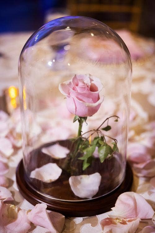 Walt Disney World, Decor, Floral, Centerpiece