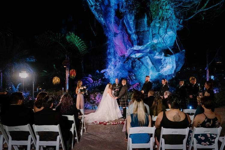 Disney Wedding, Pandora Wedding, Animal Kingdom Wedding, Disney Wedding Ceremony, Walt Disney World Wedding, Walt Disney World