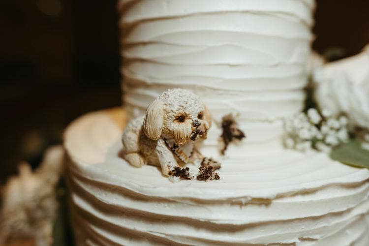 Disney Wedding, wedding cake, wedding details