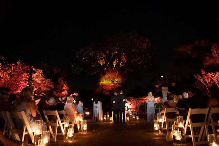 groom groom, lgbtq, wedding ceremony, ceremony, disney's animal kingdom, animal kingdom, tree of life, tree of life ceremony, nighttime spectacular
