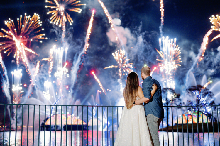 bride and groom, couple, portrait, couple portrait, epcot, fireworks, fireworks dessert party