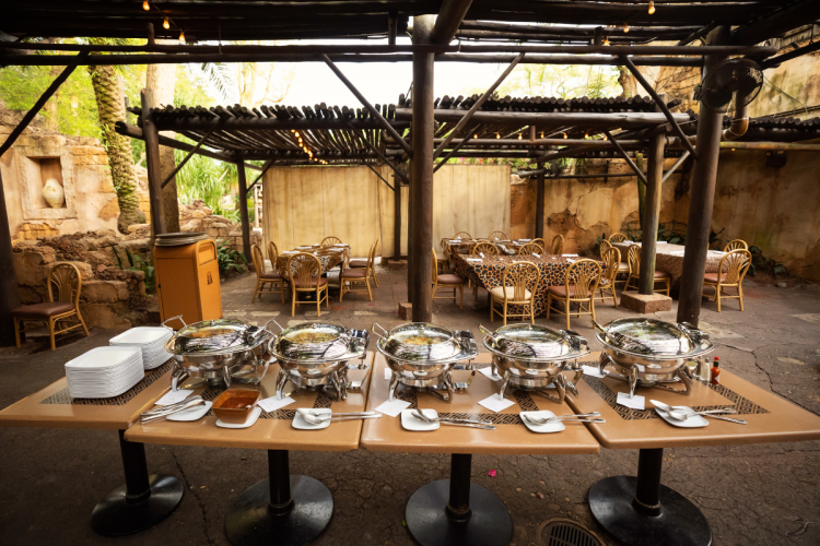 welcome reception, reception, tamu tamu, disney's animal kingdom, animal kingdom, food, buffet, safari, safari theme