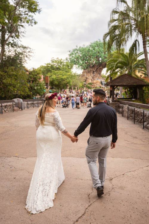bride and groom, couple, attraction mix-in, animal kingdom, disney's animal kingdom, tree of life, flower crown