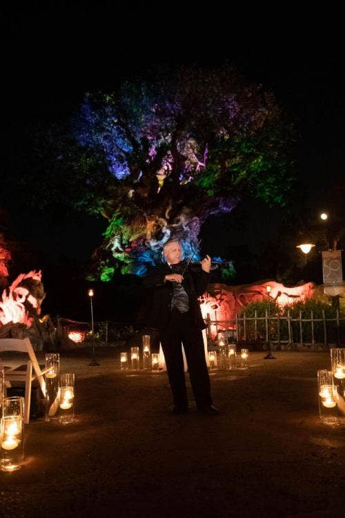 wedding ceremony, ceremony, entertainment, music, musician, violinist, disney's animal kingdom, animal kingdom, tree of life, tree of life ceremony