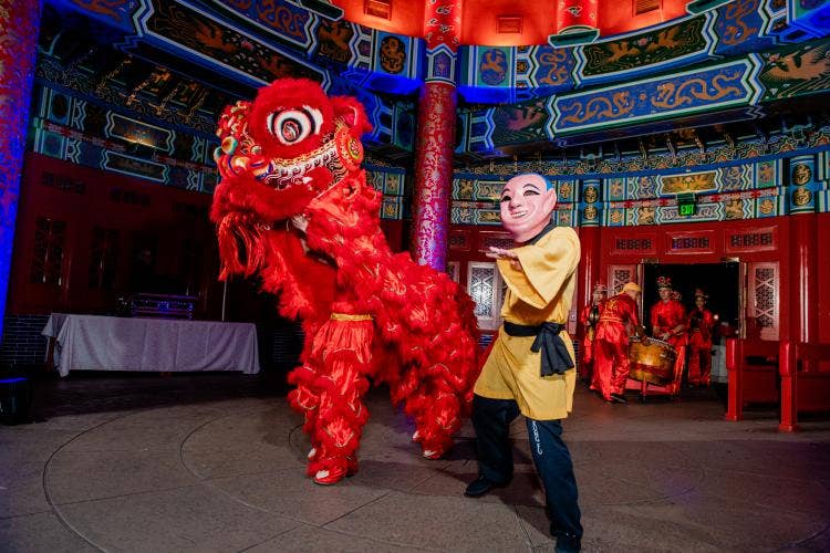 entertainment, character, Chinese dragon, lion dance, china, china pavilion
