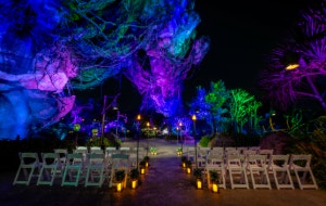 A space arranged for a wedding ceremony in front of a waterfall coming from a floating mountain in Pandora The World of Avatar