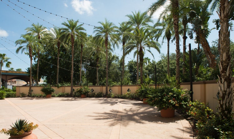 Strings of lights over a courtyard surrounded by palm trees