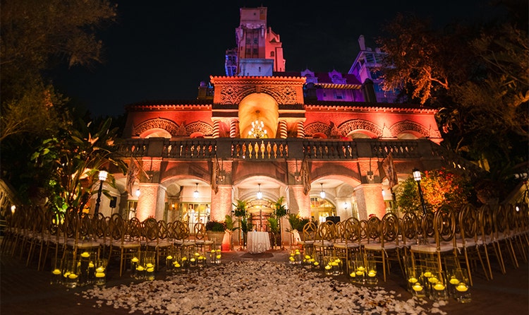 An aisle covered with rose petals and surrounded by several rows of chairs