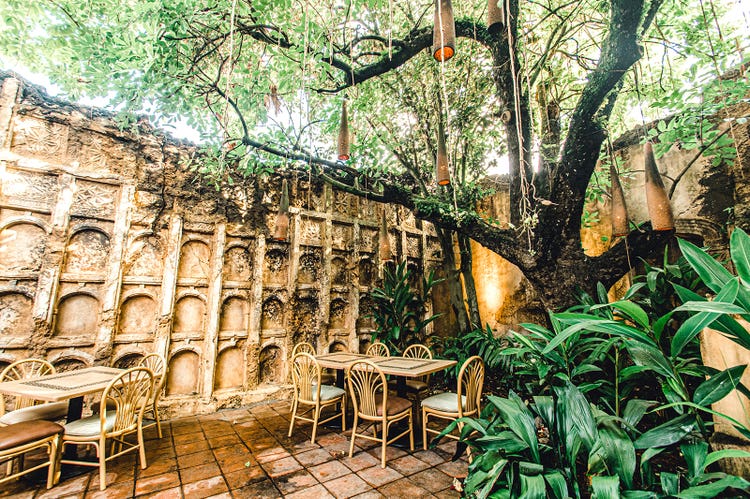Tables and chairs beneath a large tree where lanterns hang from the branches