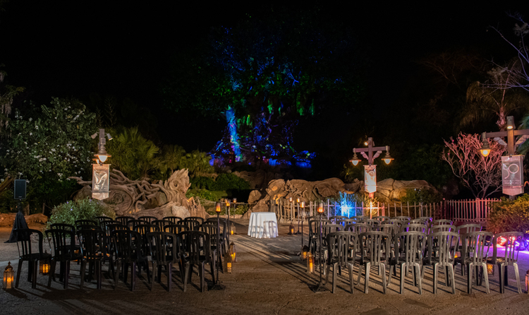 A wedding ceremony venue in front of an illuminated Tree of Life at Disney's Animal Kingdom Theme Park, featuring chair seating, lanterns and a ceremonial table