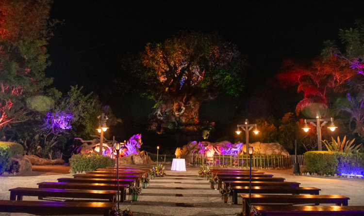 A wedding ceremony venue in front of the Tree of Life at Disney's Animal Kingdom Theme Park, featuring wooden chair seating, candles and illuminated foliage