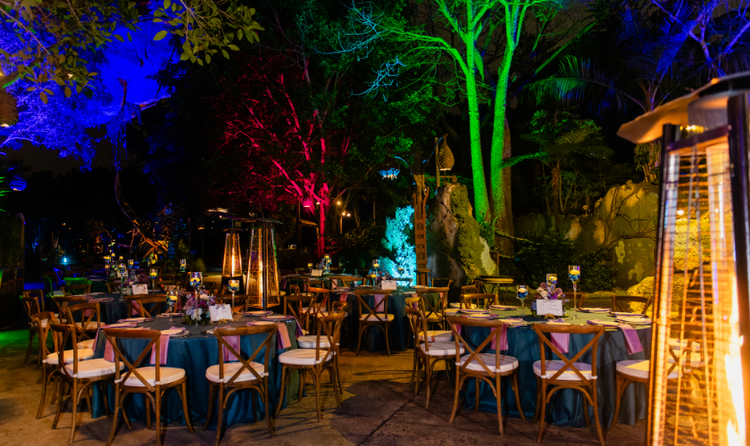 A space arranged for a wedding ceremony in front of a waterfall coming from a floating mountain in Pandora The World of Avatar