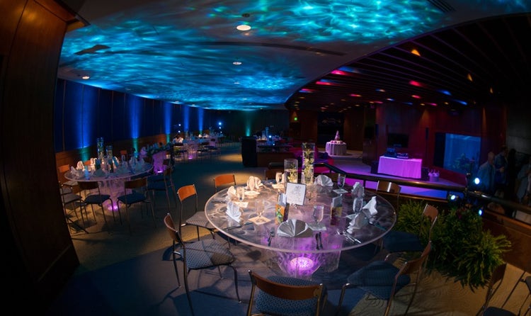 A decorated reception room in the Living Seas Salon in World Nature at EPCOT