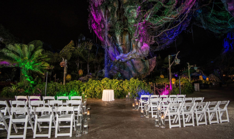A space arranged for a wedding ceremony in front of a waterfall coming from a floating mountain in Pandora The World of Avatar