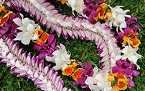 Two traditional Hawaiian wedding leis made out of colorful vibrant flowers